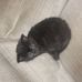 Profile Picture of Kevin Baird (@kevin.baird.9465) on Facebook