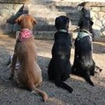 Rossi Randy Rainey - Instagram Profile Picture of Rossi Randy Rainey (@rossirainey) on Instagram