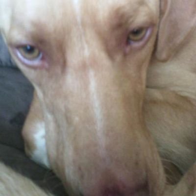 Profile Picture of Briley Fazenbaker (@3c92d0801f4b4c4) on Twitter