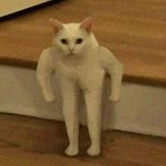 Profile Picture of Binny Debbie (@chargingmyjuulatthegym) on Instagram