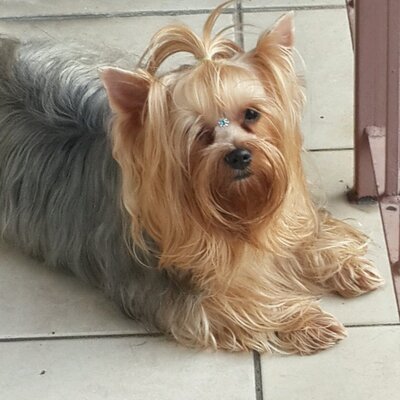 Profile Picture of Melva Gonzalez (@maja2859) on Twitter