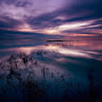 Profile Picture of Aaron Glueck (@aaron-glueck-1) on Quora