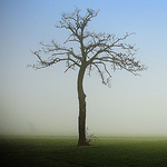 Profile Picture of Joegropp (@joegropp) on Flickr