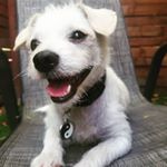 Profile Picture of Preston (@preston_correa684) on Instagram