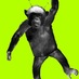 Profile Picture of Monkeys (@JohnSmallcombe) on Twitter