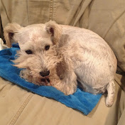 Profile Picture of Bruce Larson (@brucelarson6714) on Youtube