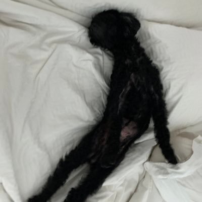 Profile Picture of Ruth Wong (@Rutthhhhh) on Twitter