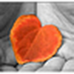 Profile Picture of Jin Lin (@jin_ma) on Flickr