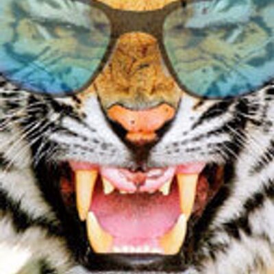 Profile Picture of Mark Irving (@mairving) on Twitter