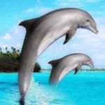 Profile Picture of Hazel Anderson (@hazel.anderson.982) on Instagram