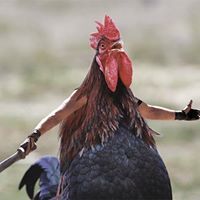 Profile Picture of Jacob Zender (@albertfroster) on Pinterest