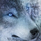 Profile Picture of Peggy McDaniel-McCombs (@pegasus12654) on Pinterest