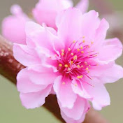 Marty Jenkins - Youtube Profile Picture of Marty Jenkins (@martyjenkins8374) on Youtube