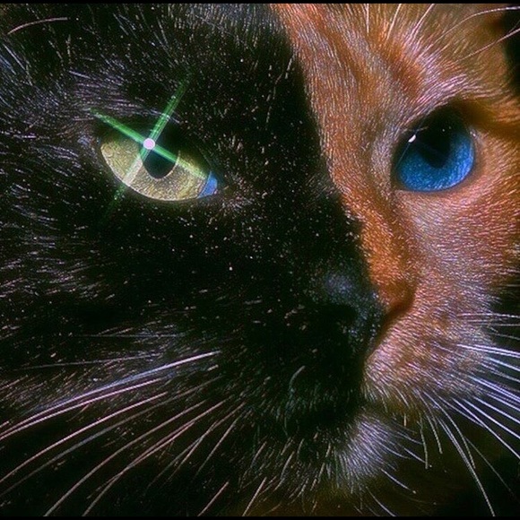 Profile Picture of Janet Salinas (@janet_salinas) on Poshmark