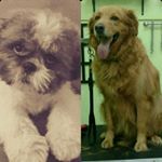 Profile Picture of Stan-Cooper (@cooper_stanford) on Instagram