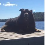 Profile Picture of Dana Beth Baldwin (@baldwindanabeth) on Instagram