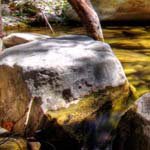 Profile Picture of Peter_Lancaster (@peter_lancasterv) on Instagram