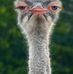 Profile Picture of Ethan Best (@ethan.best.961) on Facebook