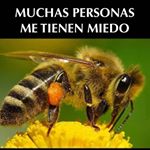 Adam Pereira - Instagram Profile Picture of Adam Pereira (@adam.pereira.123276) on Instagram