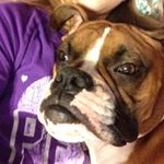 Profile Picture of Zane Lambert (@________zane_________) on Instagram