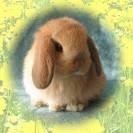 Profile Picture of Darryl Ashley (@bunieboy) on Myspace