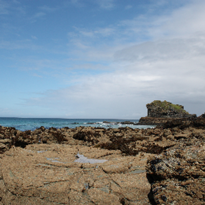 Profile Picture of Jean-Michel Gagné (@Jim_gagne) on Twitter