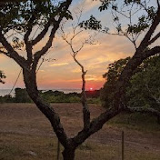 Profile Picture of Samuel Gregg (@samgregg) on Youtube