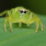 Profile Picture of Jared Gullage (@plotspider) on Instagram