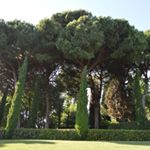 Profile Picture of Brian Tonge (@zcmiy35) on Instagram