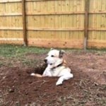 Aubry Alexander - Instagram Profile Picture of Aubry Alexander (@vinesofig_lol) on Instagram