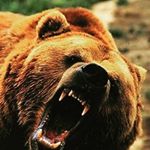 Profile Picture of Angelo Urso (@angeloursopardo) on Instagram