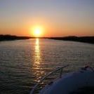 Profile Picture of Cindy Solomon (@cso7) on Pinterest