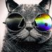 Profile Picture of Lucas Henkel (@lucas.henkel.526) on Facebook
