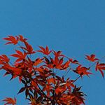 Profile Picture of sandra muzzolini (@sandramzz) on Instagram