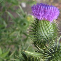 Profile Picture of Joshua Bearman (@joshua-bearman-2) on Quora