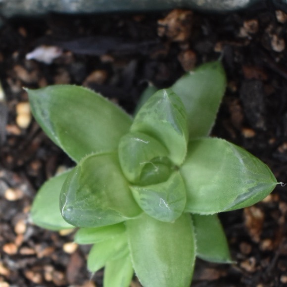 Profile Picture of Grant Hedrick (@ghedrick1106) on Poshmark