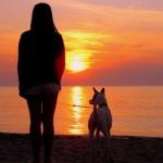 Profile Picture of Dawn Barbera (@dawnlynn4150) on Pinterest