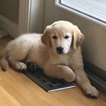 Profile Picture of Skye (@skye.jacobson) on Instagram