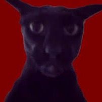 Profile Picture of Breanna Owens (@breanna.ivy7) on Tiktok