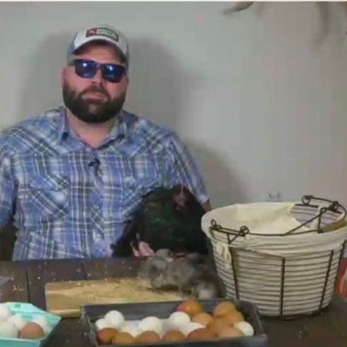 Profile Picture of 🤠Steven Gillen🐓🦆 (@gillen1991) on Tiktok