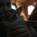 Profile Picture of Heather Constable (@heather.constable.395) on Facebook