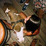 Logan Peters - Instagram Profile Picture of Logan Peters (@awhalefairytale) on Instagram