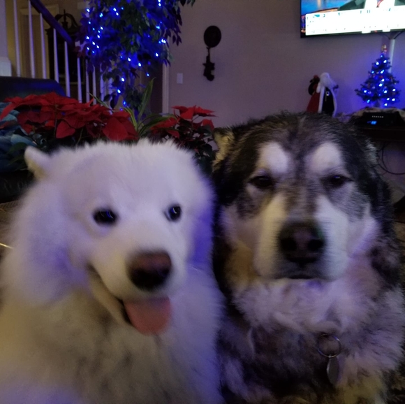 Profile Picture of Scott Edge (@michaeledge) on Poshmark