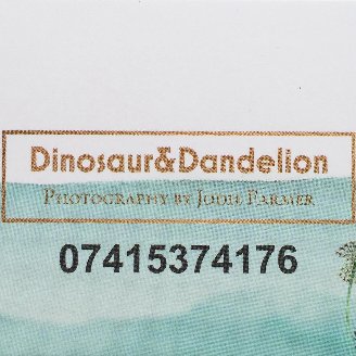 Profile Picture of Jodie Farmer (@DinoDandelion) on Twitter