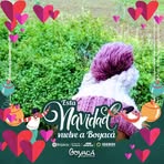 Profile Picture of Daniel Njoroge (@Daniel-Njoroge) on Facebook