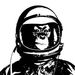 Profile Picture of Geoffrey Stanton (@geoffrey0010) on Pinterest