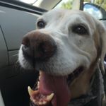 Profile Picture of Tracy Warner (@tracers___) on Instagram