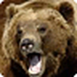 Profile Picture of Robertas Kvietkauskas (@meška) on Flickr