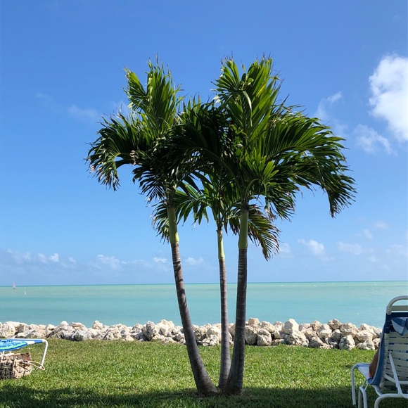 Profile Picture of Mary Bockelmann (@brennan9652) on Poshmark