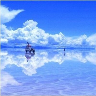 Profile Picture of Lin King (@lin_king) on Twitter